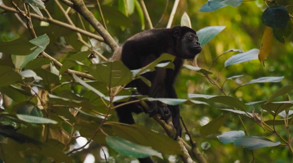 Costa Rica hiking tours
