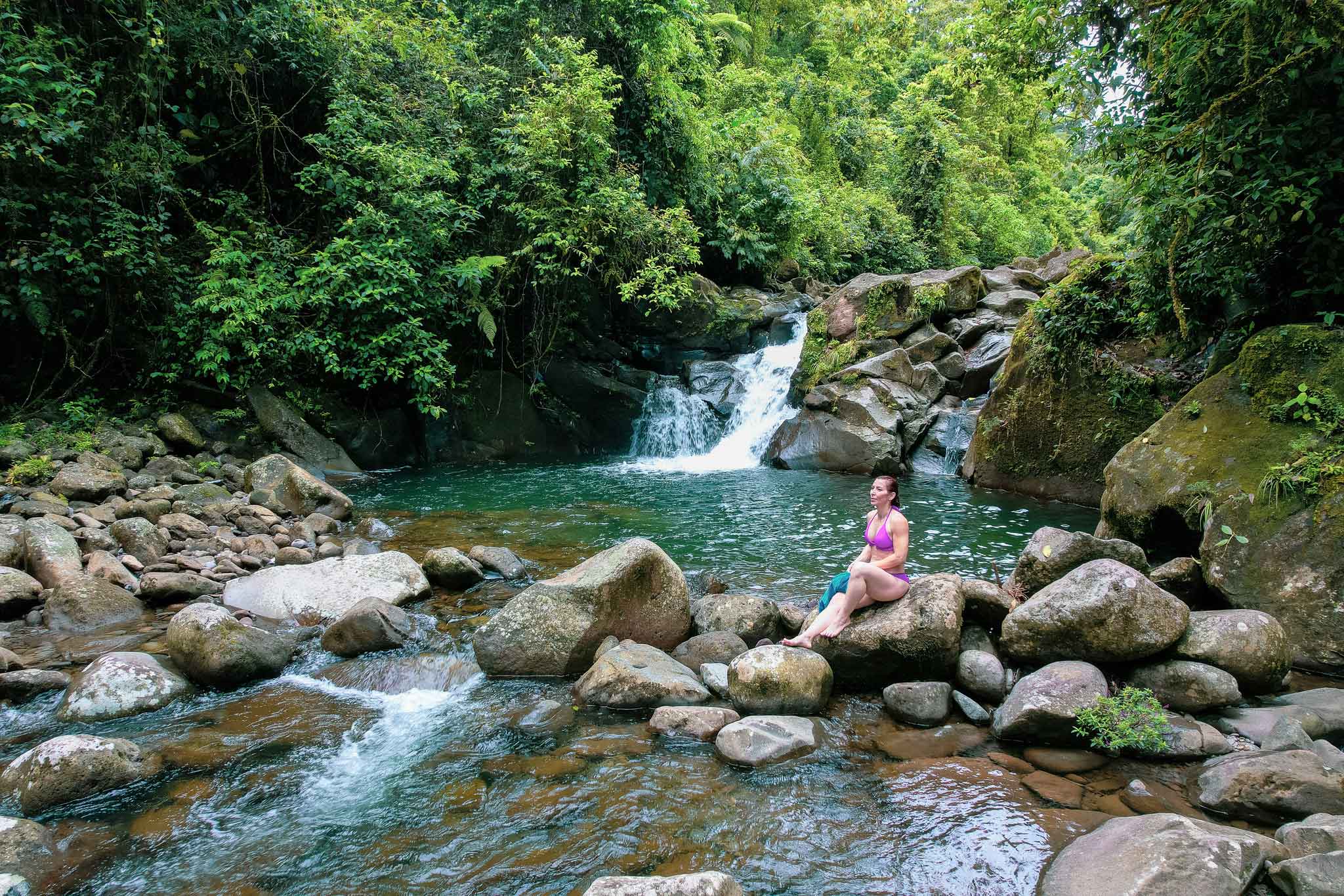 Rainforest hike