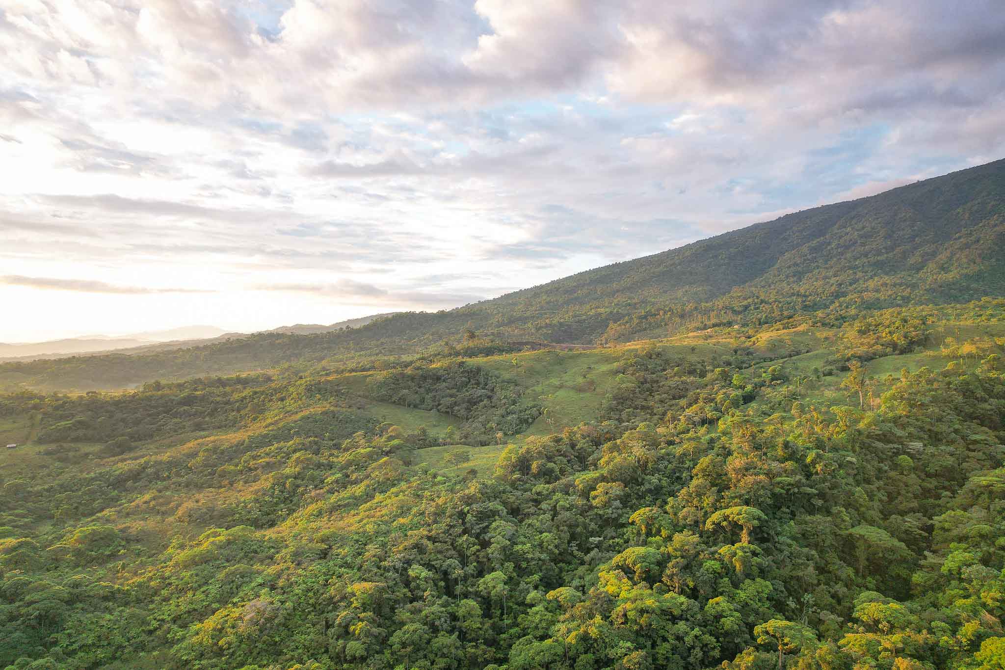 Also, it is essential to let you know that over half of the land associated with our hotel remains in its natural state and is protected. We recognize that our most significant asset is conserving the tropical forests in the northern region adjacent to the Turrialba volcano and the rich biodiversity that thrives within these lands.