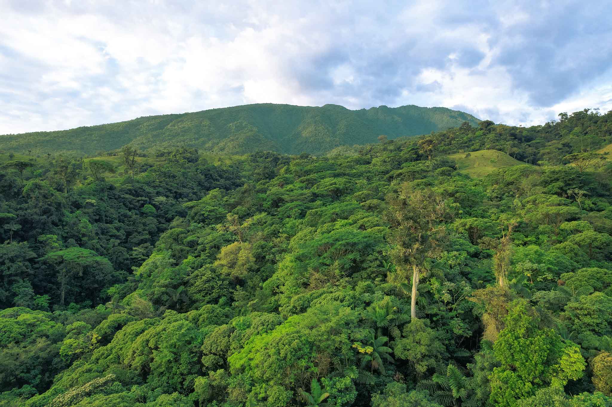 Ecolirios Lodge - Turrialba Volcano View