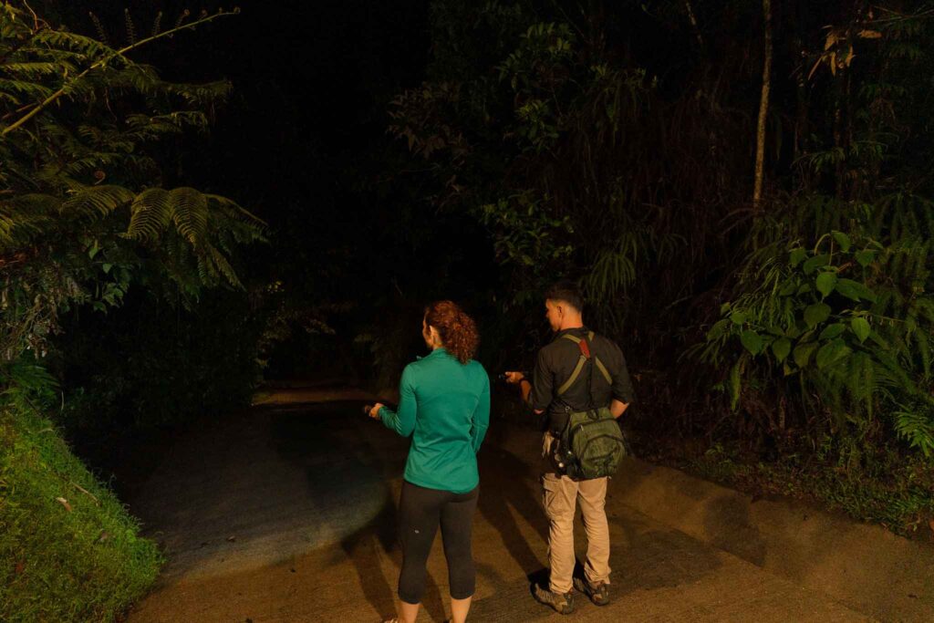 Night walk Ecolirios