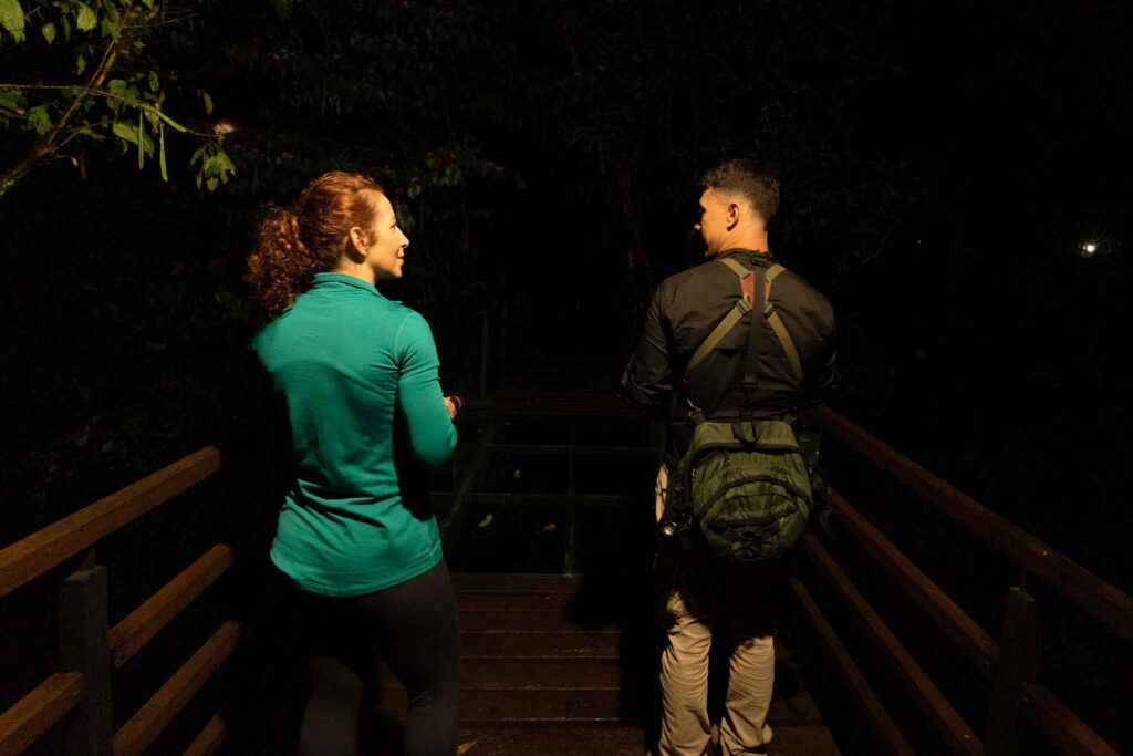 Night walk Ecolirios