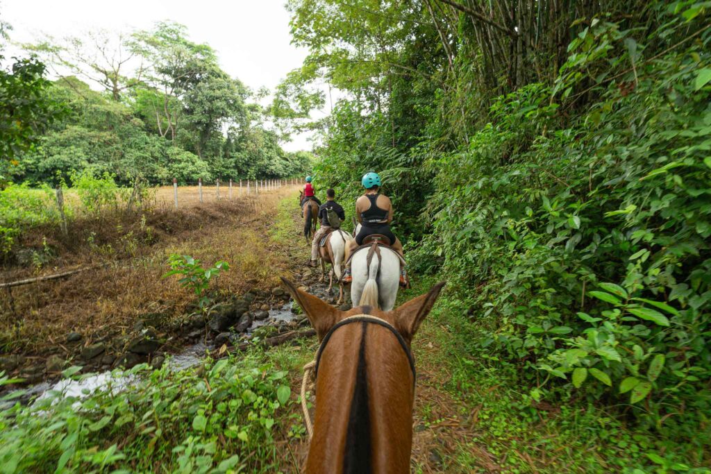 Horseback riding - Ecolirios - experiences