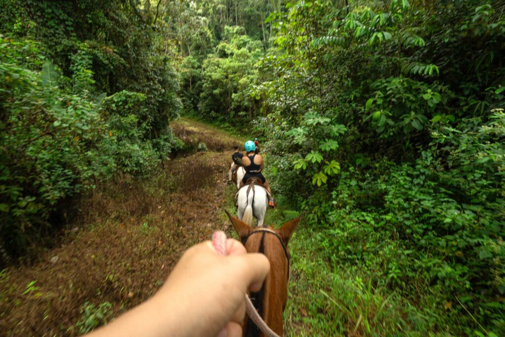 Horseback riding - Ecolirios - experiences