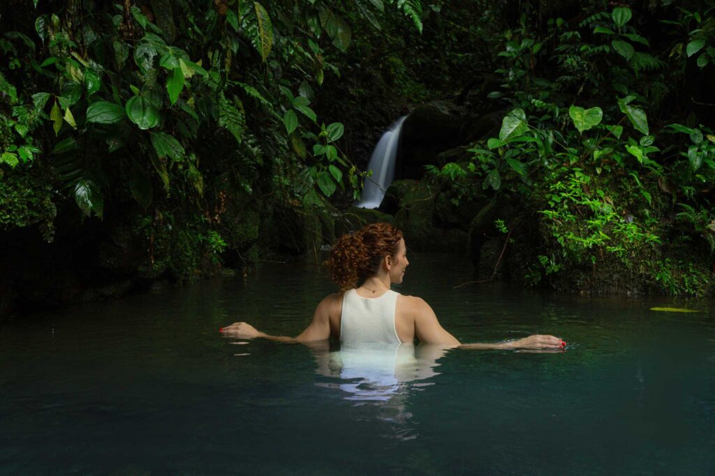 Natural pool - Ecolirios