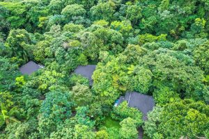 Jungle Suite - Ecolirios Lodge