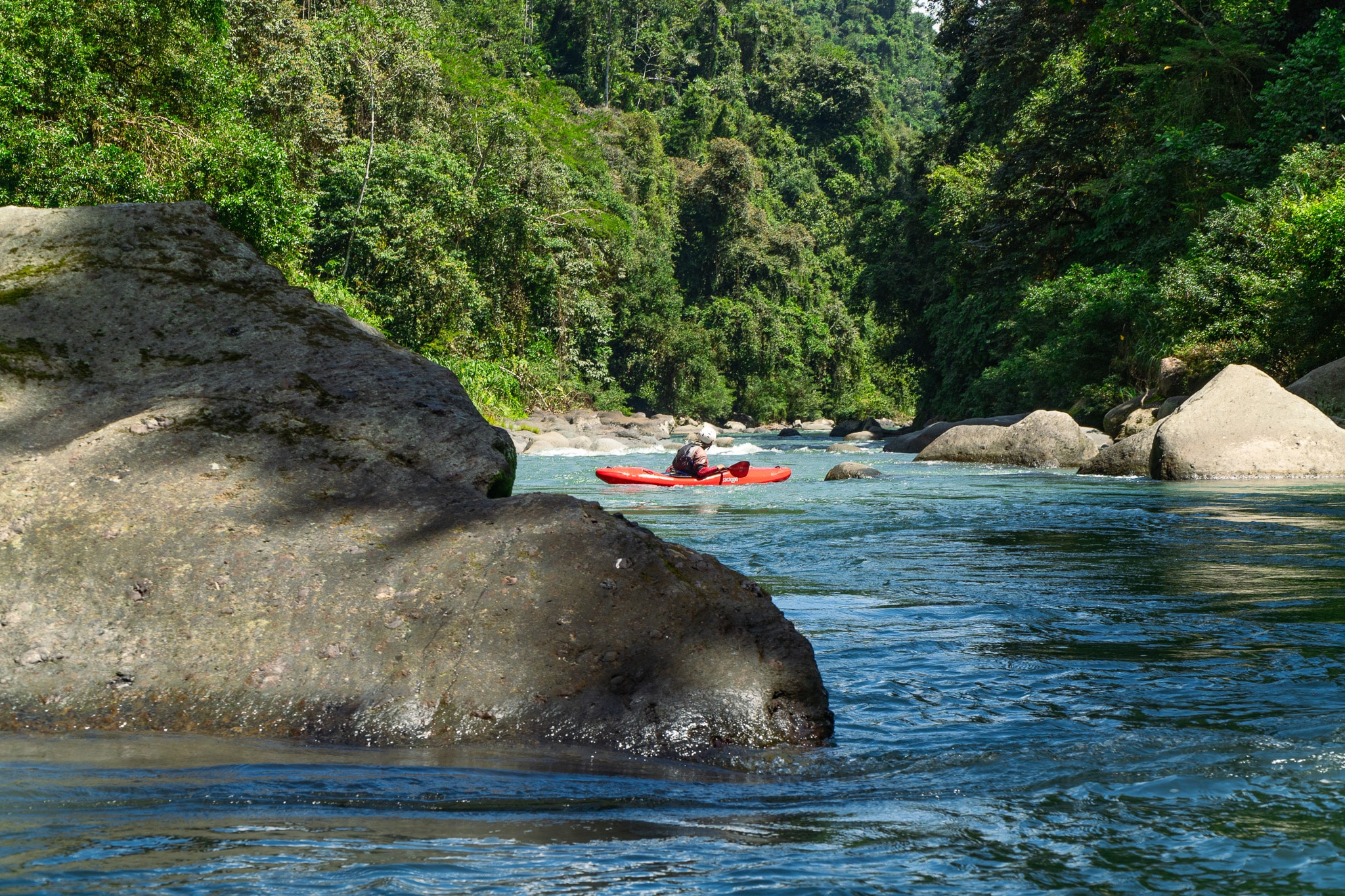 Pacuare Rafting River