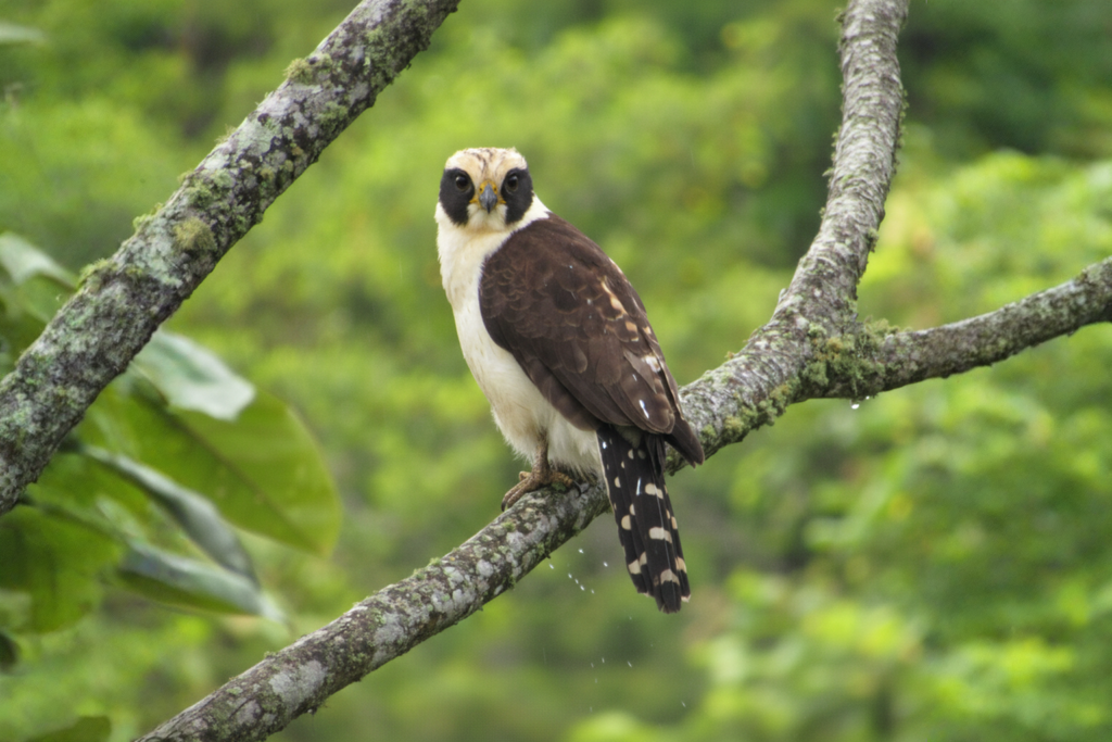 envato-labs-image-edit (2)