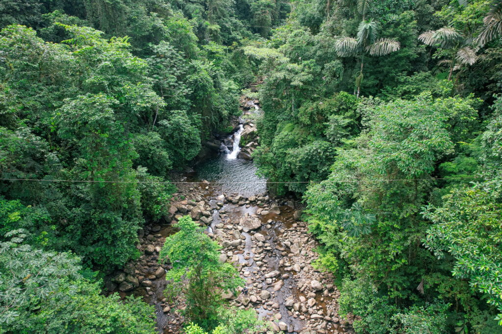 Eco lodge in Costa Rica: Discover the ultimate luxury eco retreat at Ecolirios Hotel & Boutique