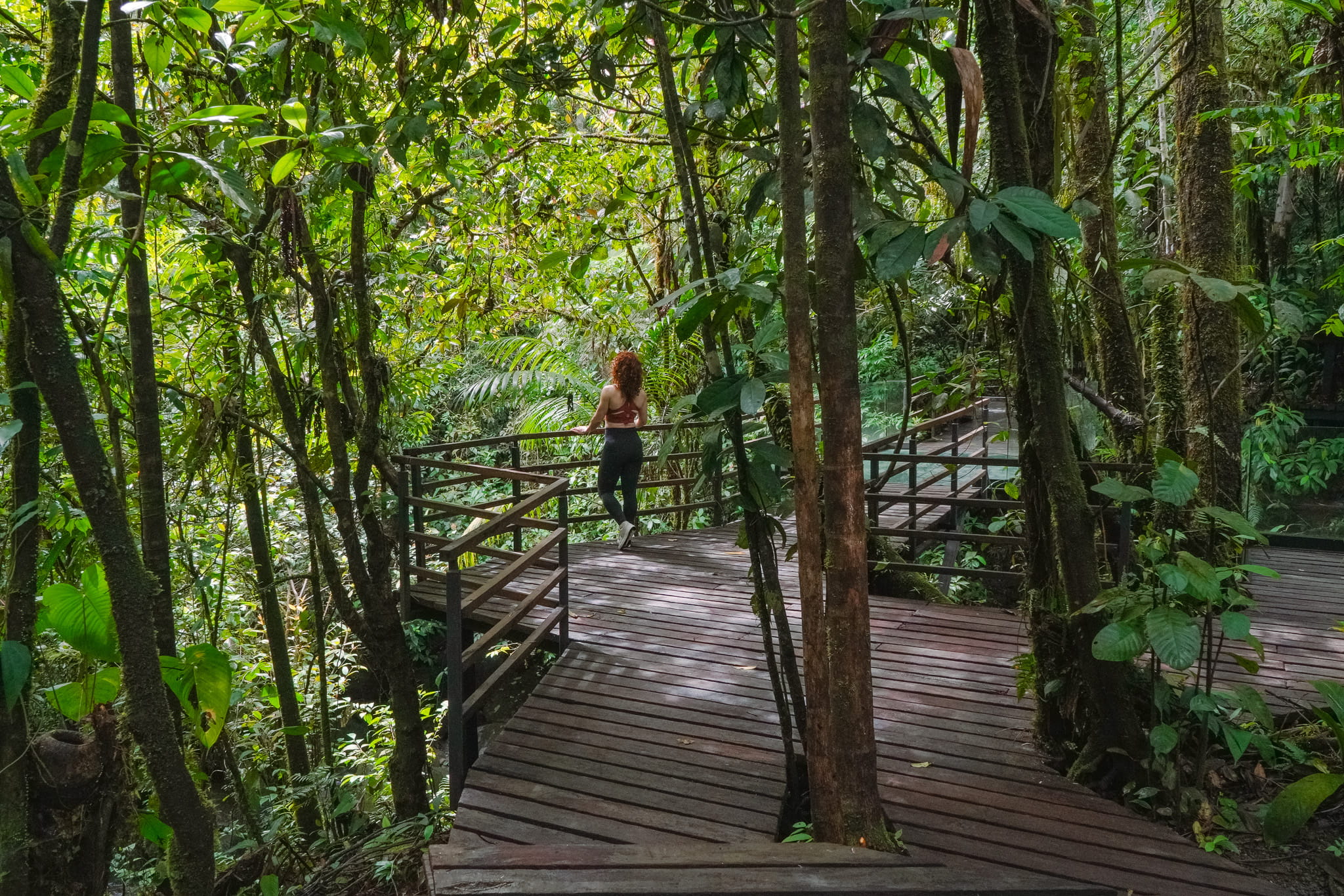 The 7 Dimensions of Wellness - Ecolirios Lodge