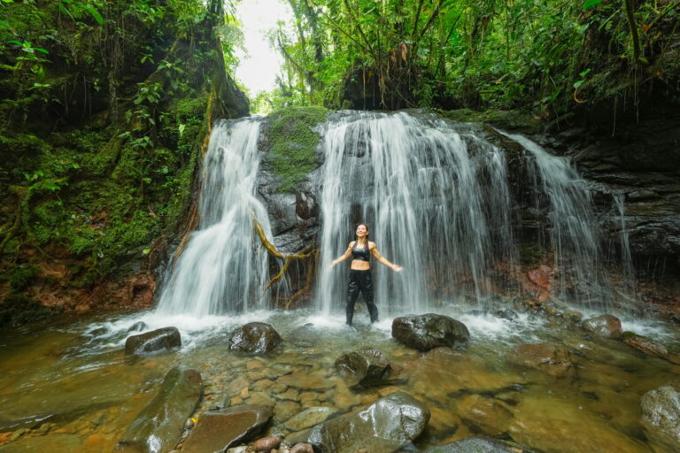 The 7 Dimensions of Wellness - Ecolirios Lodge